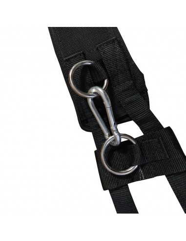 Cinchuelo de doma entrenamiento |...