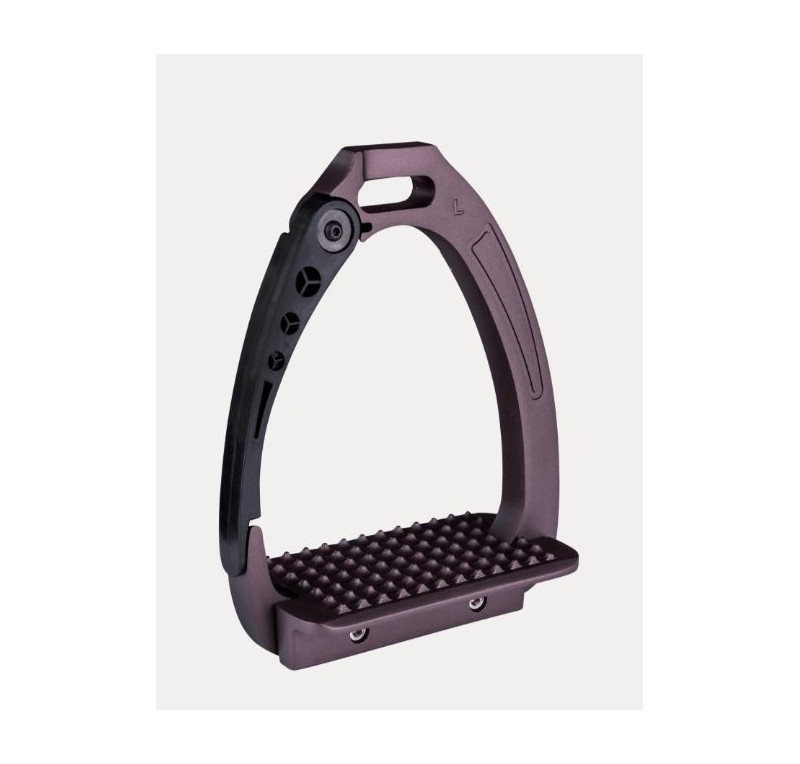 Estribo de seguridad en aluminio pro