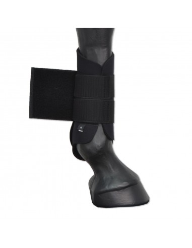 Protector Eco "Los Nietos Dressage"... Protector Eco "Los Nietos Dressage"...