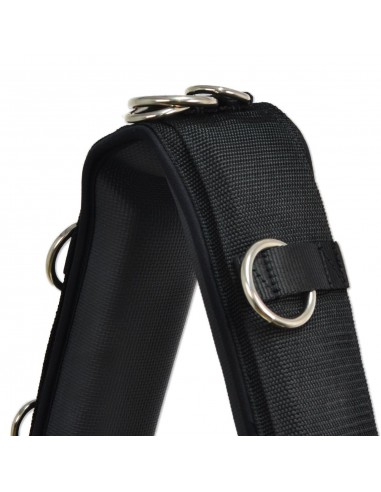 Cinchuelo de doma 'Los Nietos Dressage'