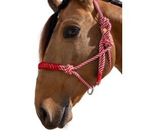 Cabezada de cuerda H3 |Adornos hilo | Varios colores