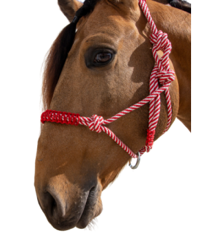 Cabezada de cuerda H3 |Adornos hilo | Varios colores