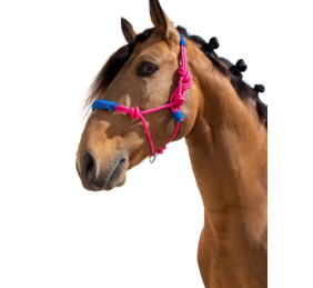 Cabezada de cuerda H3 |Adornos hilo | Varios colores