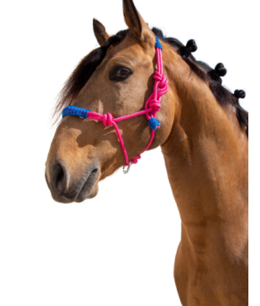 Cabezada de cuerda H3 |Adornos hilo | Varios colores