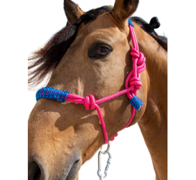 Cabezada de cuerda H3 |Adornos hilo | Varios colores