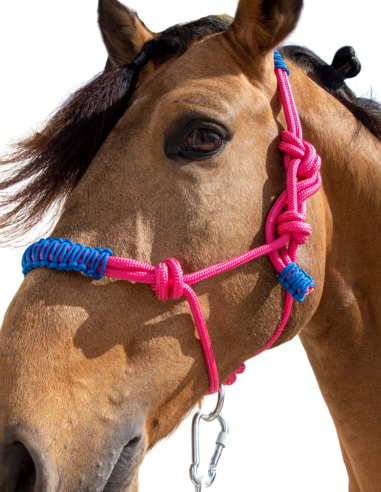 Cabezada de cuerda H3 |Adornos hilo |...