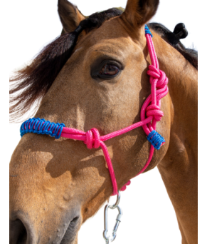 Cabezada de cuerda H3 |Adornos hilo | Varios colores