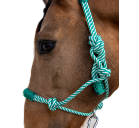 Cabezada de cuerda H3 |Adornos hilo | Varios colores