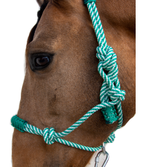 Cabezada de cuerda H3 |Adornos hilo | Varios colores