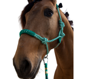 Cabezada de cuerda H3 |Adornos hilo | Varios colores