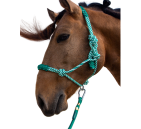 Cabezada de cuerda H3 |Adornos hilo | Varios colores