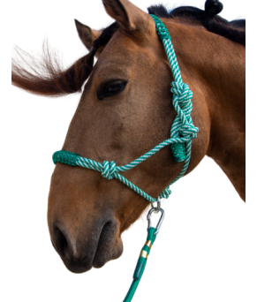 Cabezada de cuerda H3 |Adornos hilo | Varios colores