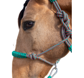 Cabezada de cuerda H3 |Adornos hilo | Varios colores