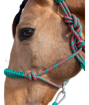 Cabezada de cuerda H3 |Adornos hilo | Varios colores