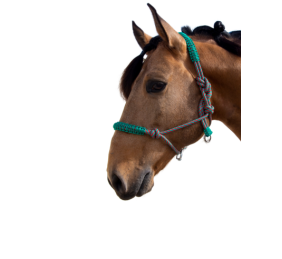 Cabezada de cuerda H3 |Adornos hilo | Varios colores