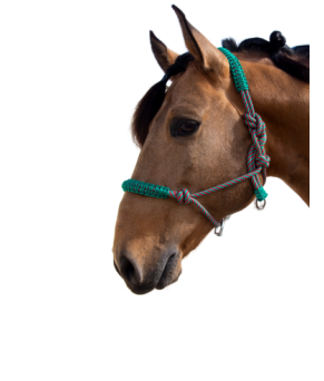 Cabezada de cuerda H3 |Adornos hilo | Varios colores