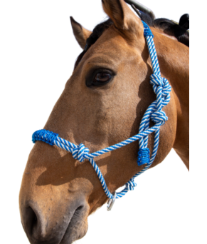 Cabezada de cuerda H3 |Adornos hilo | Varios colores