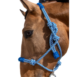 Cabezada de cuerda H3 |Adornos hilo | Varios colores