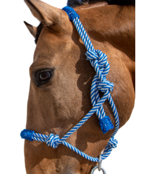 Cabezada de cuerda H3 |Adornos hilo | Varios colores