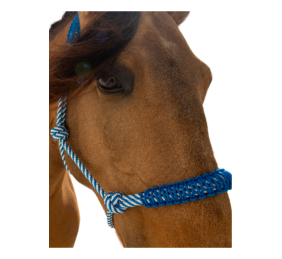 Cabezada de cuerda H3 |Adornos hilo | Varios colores