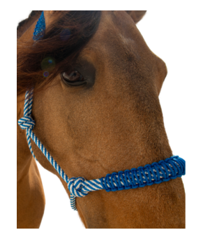 Cabezada de cuerda H3 |Adornos hilo | Varios colores