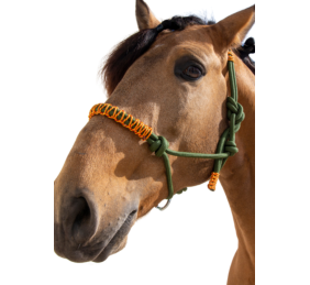 Cabezada de cuerda H3 |Adornos hilo | Varios colores