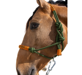 Cabezada de cuerda H3 |Adornos hilo | Varios colores