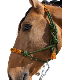 Cabezada de cuerda H3 |Adornos hilo | Varios colores