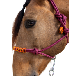 Cabezada de cuerda H3 |Adornos hilo | Varios colores