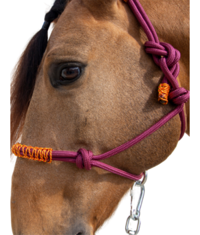 Cabezada de cuerda H3 |Adornos hilo | Varios colores