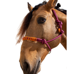 Cabezada de cuerda H3 |Adornos hilo | Varios colores