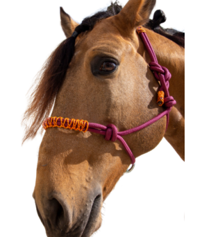 Cabezada de cuerda H3 |Adornos hilo | Varios colores