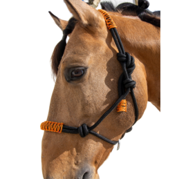 Cabezada de cuerda H3 |Adornos hilo | Varios colores