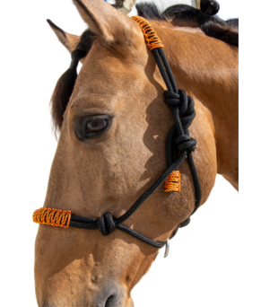 Cabezada de cuerda H3 |Adornos hilo | Varios colores