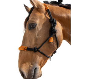 Cabezada de cuerda H3 |Adornos hilo | Varios colores