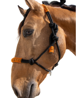 Cabezada de cuerda H3 |Adornos hilo | Varios colores