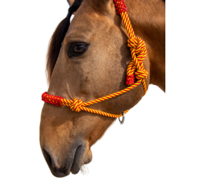 Cabezada de cuerda H3 |Adornos hilo | Varios colores