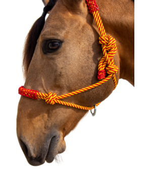 Cabezada de cuerda H3 |Adornos hilo | Varios colores