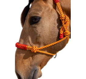 Cabezada de cuerda H3 |Adornos hilo | Varios colores