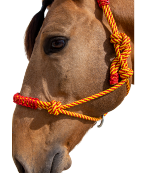 Cabezada de cuerda H3 |Adornos hilo | Varios colores