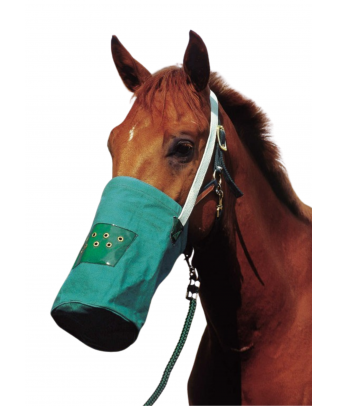 Bolsa de lona Hippotonic 2