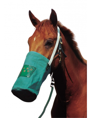 Bolsa de lona Hippotonic