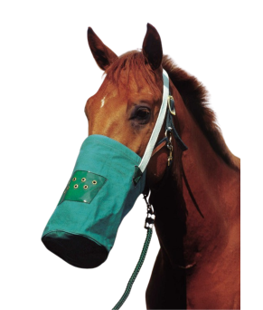 Bolsa de lona Hippotonic