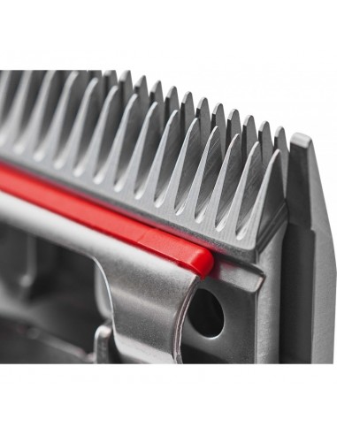 Juego de cuchillas Heiniger n° 10