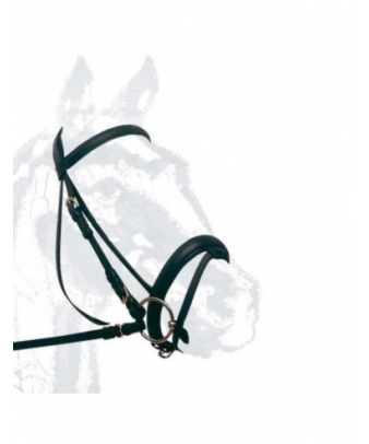 Cabezada de montar cuero...