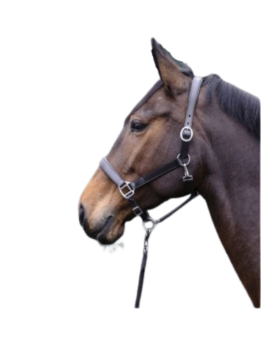 Cabezada de cuero Economic HKM Cabezada de cuero Economic HKM