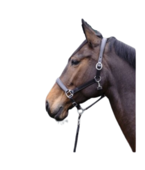 Cabezada de cuero Economic HKM