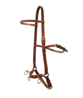 Serretón hebilla inoxidable brillo | Tres pilares