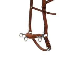 Serretón hebilla inoxidable brillo | Tres pilares