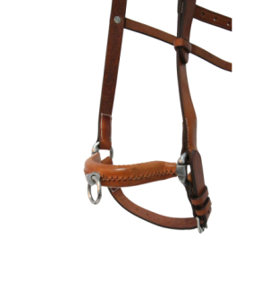 Serretón hebilla inoxidable brillo | Un pilar